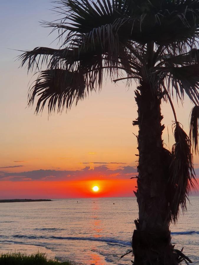 Gemuetliche Ferienwohnung In Torrevieja Ca100M Vom Strand Playa Del Cura Entfernt Kültér fotó